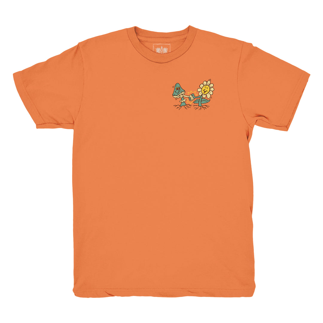 SUNFLOWER_TFront_52dae997-dd25